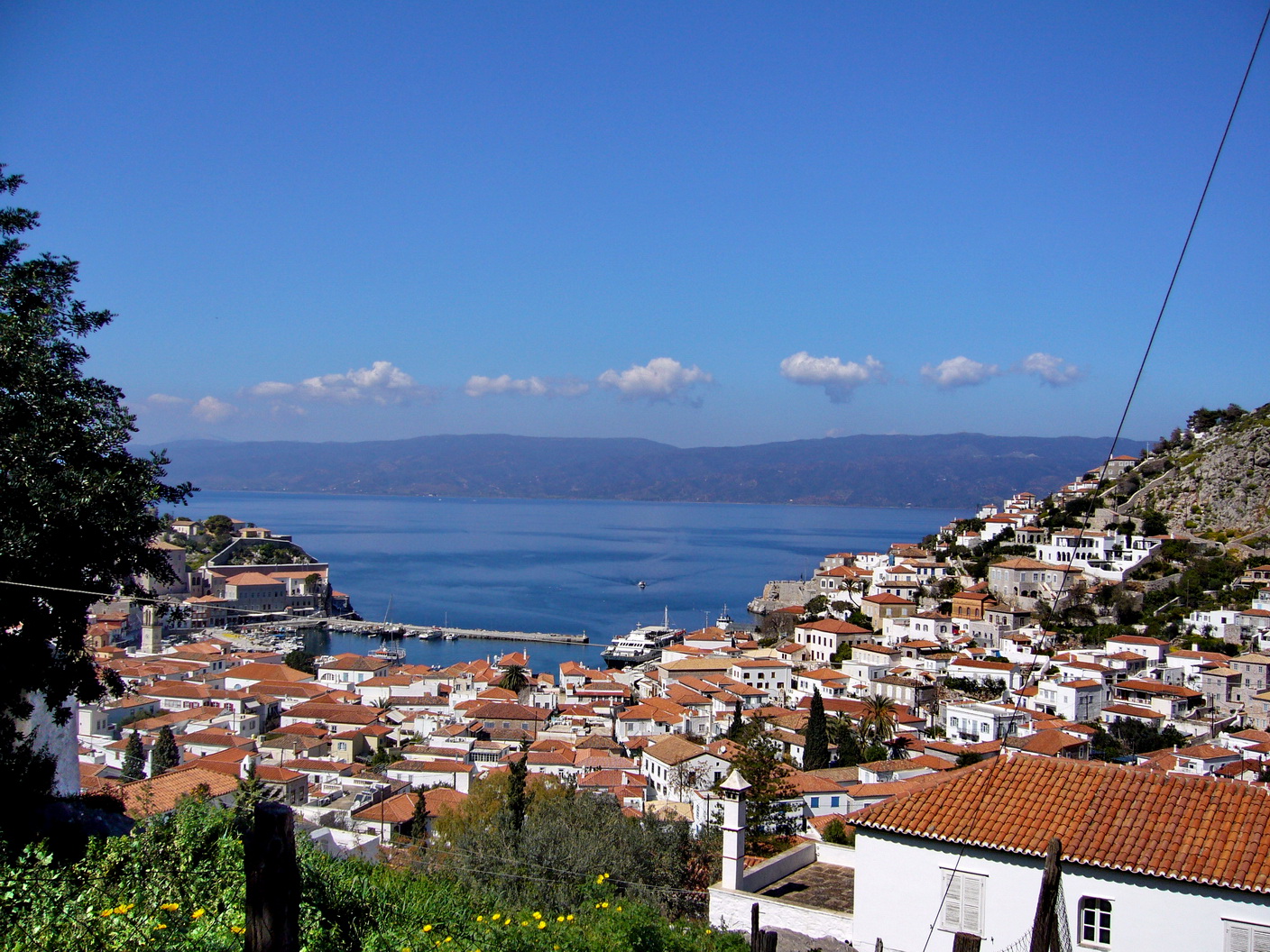 Hydra